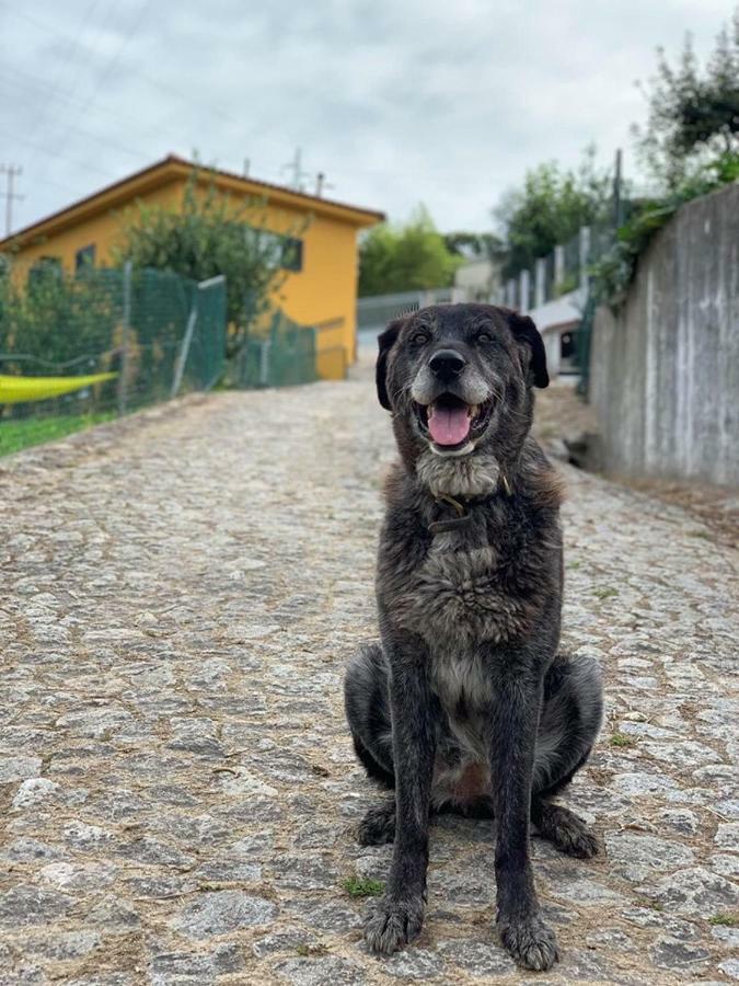 Casinha A Porta Villa Arouca Kültér fotó